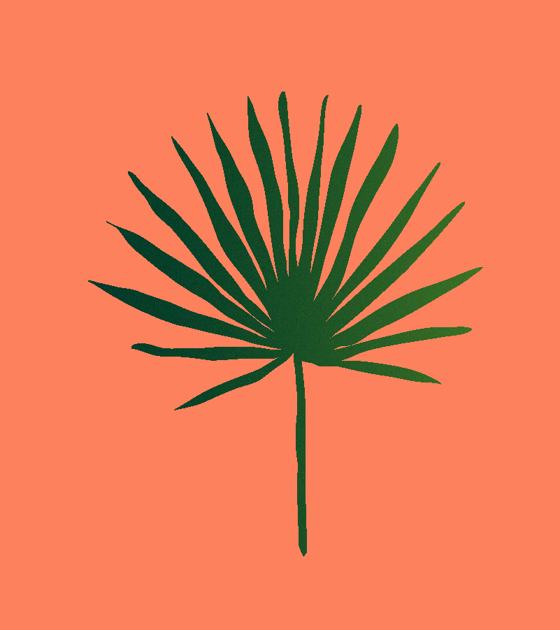 O quartinho de empregada